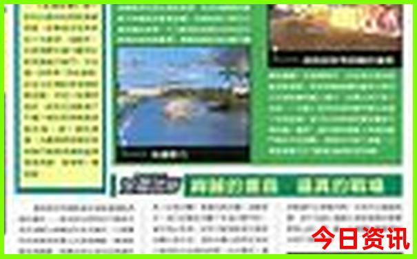 新澳门开彩走势图
